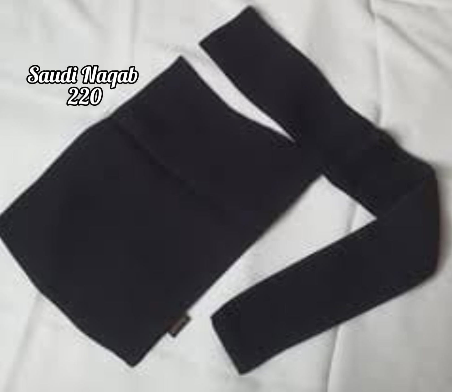 Saudi Naqab