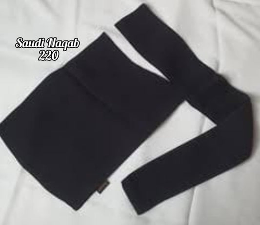 Saudi Naqab