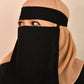 Saudi Naqab