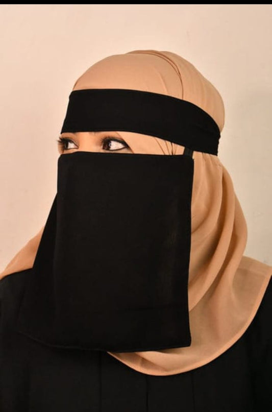 Saudi Naqab